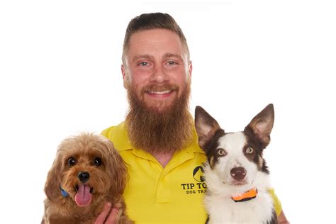 Image result for Classical Conditioning Explained