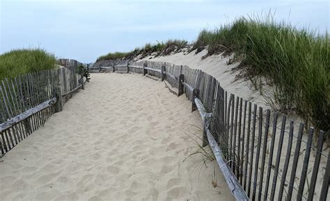 Sharks Bite Into Some Cape Cod Activity, But Not in Brewster