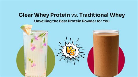 Understanding Whey Proteins and Top 10 Whey Protein to choose in 2025