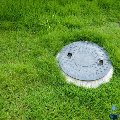 Rainwater Harvesting for Irrigation | Rainy Filters