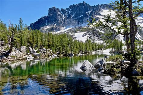 Washington 的图像结果