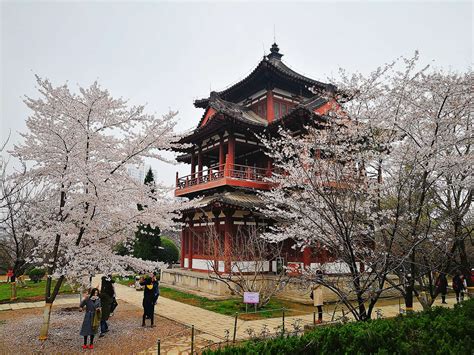 西安青龙寺为什么很多日本游客？ - 知乎