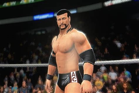 Snow Halation Goofy 的图像结果