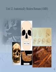 Anatomically Modern Humans 的图像结果