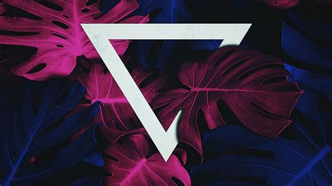 Download wallpaper 2048x1152 leaves, triangle, geometric, inverted ...