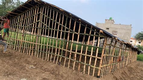 Mushroom farming Cost and profit – Jaaivat