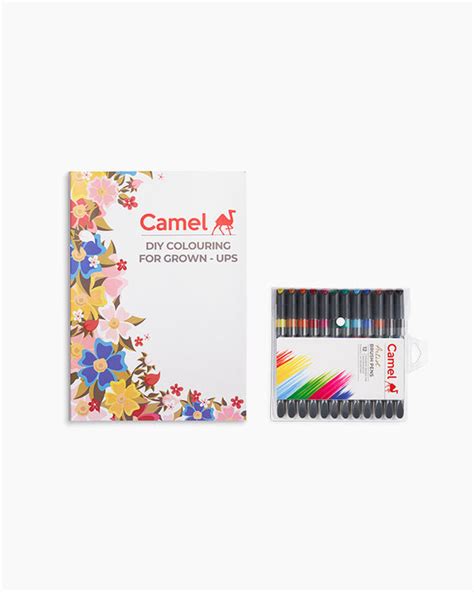 Camlin DIY Colouring for Grown Ups (Kits) — Mango