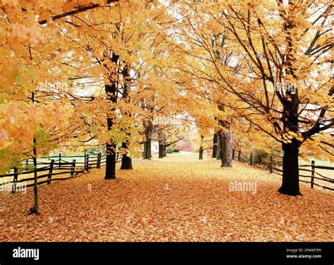 Hollis new hampshire hi-res stock photography and images - Alamy