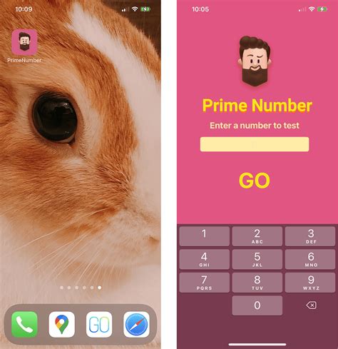 Xcode.app 的图像结果