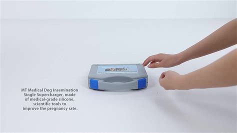 Mt Dog Ai Artificial Insemination Dog Professional Nature Mating Way ...