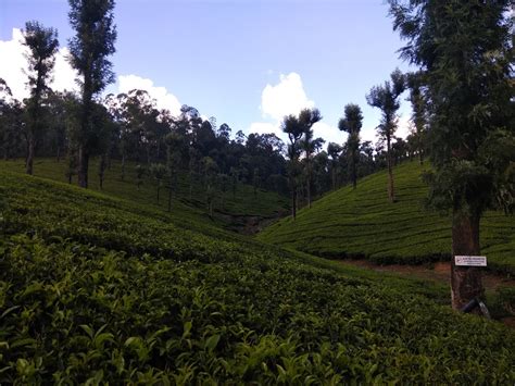 Image result for Assam Language