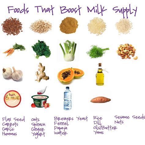 Foods that promote milk supply | Breastfeeding foods, Increase milk supply, Baby food recipes