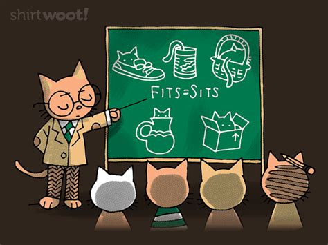 HowToBasic Cat 的图像结果