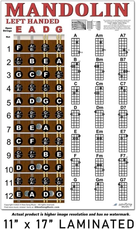 ANewSongMusic Laminated Left Handed Mandolin Chord & Fretboard India | Ubuy