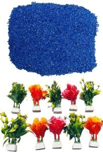 SADHANA AQUARIUM SD - 1 kg BLUE COLOR SAND AND 10 PLANT Aquarium Plant ...