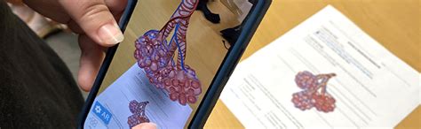 Image result for Visible Body Courseware