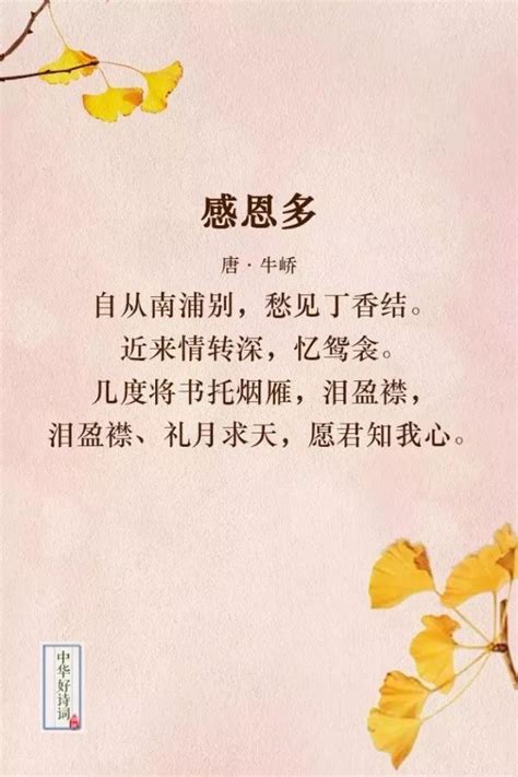 感恩三行诗，情暖母亲节 - 北京翰文教育