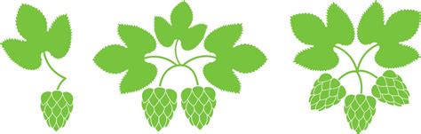 Hop Vector 的图像结果