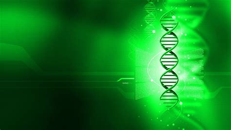 Genetics PowerPoint Backgrounds 的图像结果