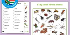 South African Antelope I Spy Activity Sheet (teacher made)