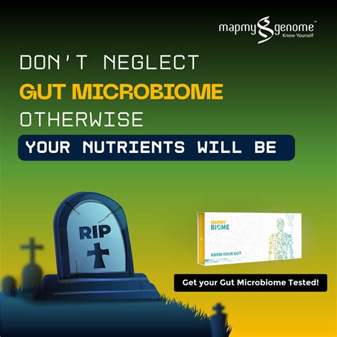 Top 4 signs of an unhealthy gut – Mapmygenome