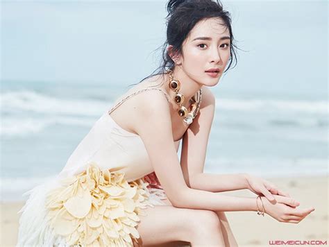 421杨幂养了两个小鬼 杨幂养了两个小鬼是什么意思 - 达人家族