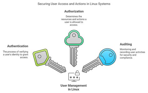 Image result for Types of Linux Users