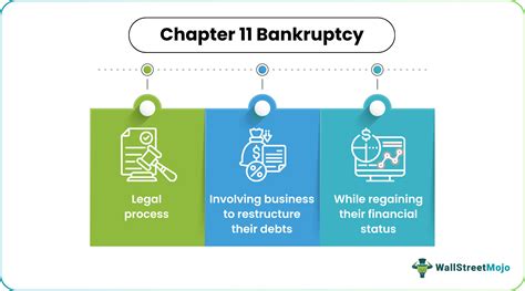Explaining Chapter 11 Bankruptcy 的图像结果