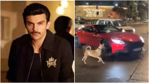 Veer Pahariya's luxury car worth ₹3.79 crore is chased by a stray dog ...