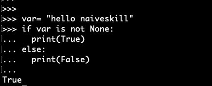 Python Null Character 的图像结果