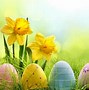 Image result for Easter Bunny Animated Wallpaper