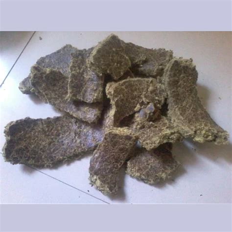 Home | MALERKOTLA MOGA ROADWAYS