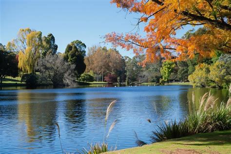 High Quality Resolution 的图像结果