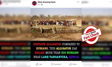 Fact Check: Crocodile in viral image is not Gustave