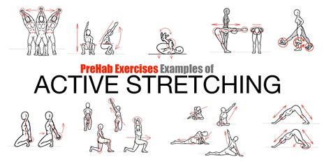 Flexibility Exercises Examples 的图像结果