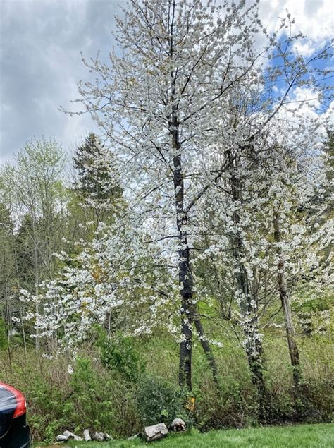 Image result for Well Hello Spring