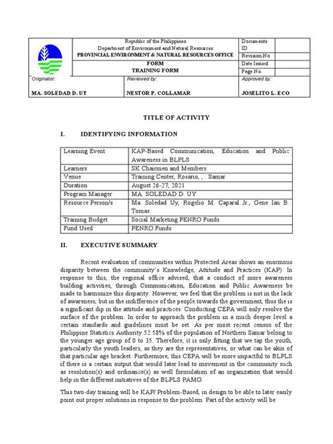 Training Report Examples 的图像结果