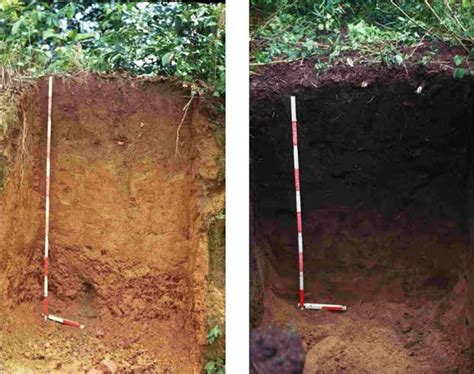 Low-Cost Biochar Production