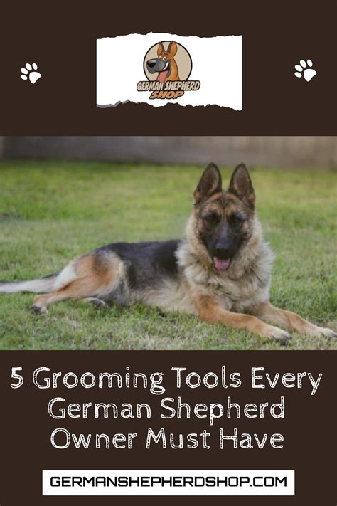 Best Grooming Tools German Shepherd at Charles Soliz blog