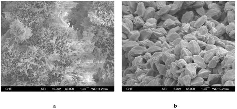 Propylene Polymerization Catalyzed by Metallocene/Methylaluminoxane ...