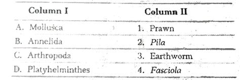 Match the following Columns