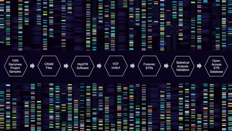 Open-Access Worldwide Population STR Database Constructed Using High ...