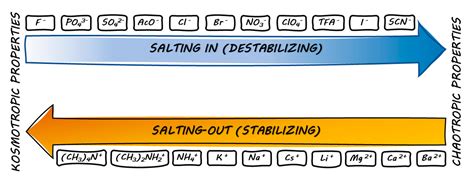 The Role of Counter-Ions in Peptides—An Overview