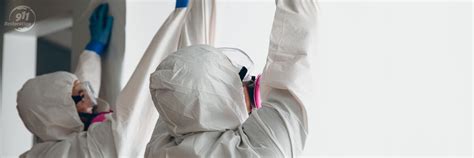 Image result for Mold Testing Santa Barbara