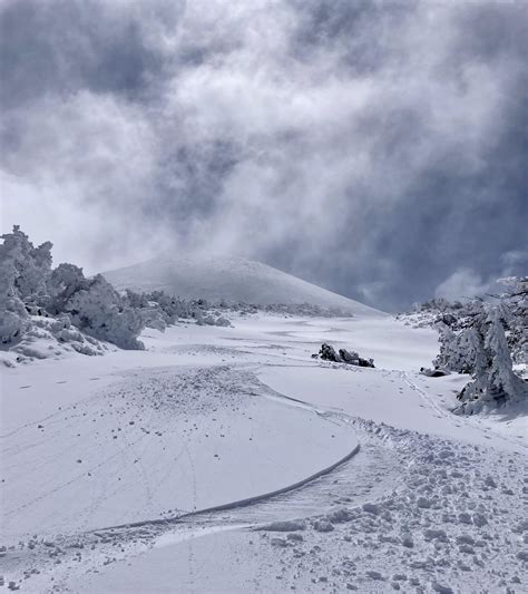 Patagonia 3-in-1 vs. separate shell and mid-layer? : r/Skigear