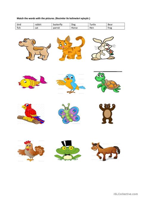 Pets Worksheet 的图像结果