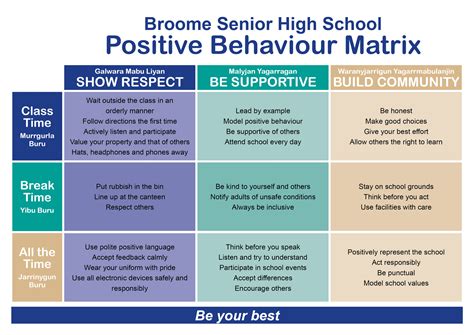 Image result for Positive Behaviour Support Example