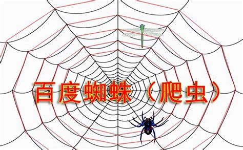 百度蜘蛛如何抓取网站和提高抓取频率_超级蜘蛛查