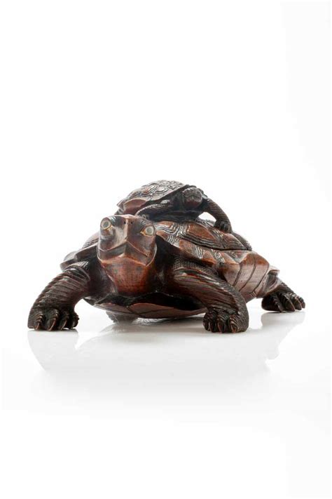 Image result for Japanese Box Turtle