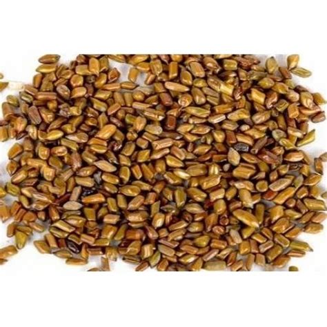 Herbal Seeds - Kaunch Seeds White - Mucuna Pruriens - Nasukunni ...